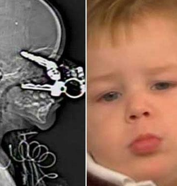 2677191373 - Absürd Ansiklopedi / Bunları biliyor musunuz? Absürd Ansiklopedi / Bunları biliyor musunuz?