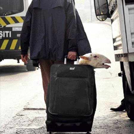 KURBAN BAVULA KONUR MU? AA'DAN TARİHE GEÇECEK KURBAN BAYRAMI FOTOGRAFI!.. - Resim : 1