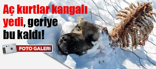 HAYRET ETTİREN MANZARA!