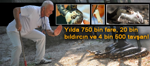 ANTALYA’DAKİ VAHŞİ DOĞA!
