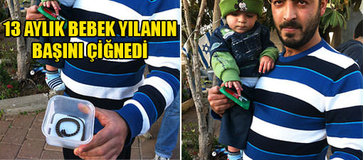 YILANIN TRAJİK SONU