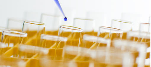 Herpes vir�s� kanser tedavisinde kullan�ld�