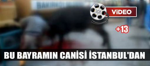 Boğanın boğazını ayakta kesti! VİDEO