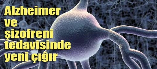 Alzheimer ve �izofreni tedavisinde yeni ����r