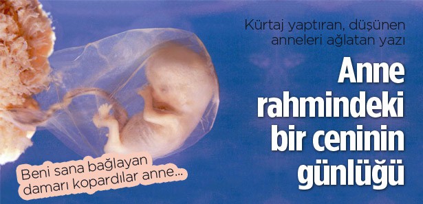 anne_rahmindeki_bir_ceninin_gunlugu13388722080_h887356.jpg