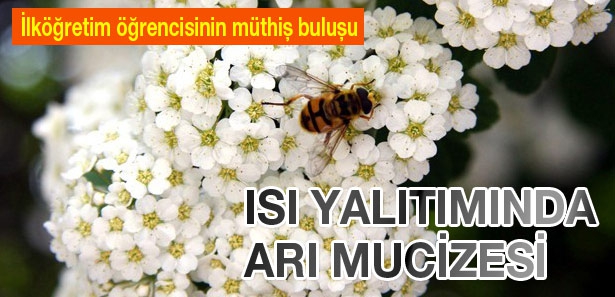 Bina �s� yal�t�m�nda 'ar� mucizesi'