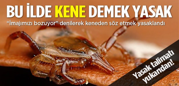 Bu ilde 'kene' demek yasaklandı!