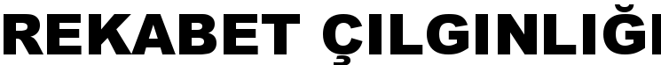 T�RKSAT'tan 1 YTL'ye internet