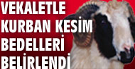 Vekaletle kurban bedelleri belirlendi