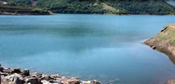 Baraj kapağı açık bırakıldı binlerce balık telef oldu
