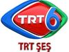 TRT6, Soranice haberlere başlıyor