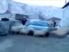 Araba g�ren masum koyunlar