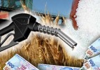 2013 tarımsal desteklemeleri Resmi Gazete'de