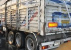 Bolu'da 15 ton mısır ziyan oldu