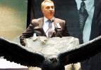 Orman zaman kaybetmeden işe koyuldu