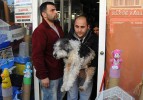 Pet-Shop'larda hayvan yasağı başladı
