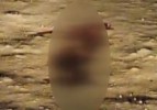 Polis, kızının sevgilisini tek kurşunla öldürdü