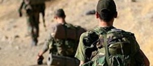 Varto'da terör örgütü operasyonu